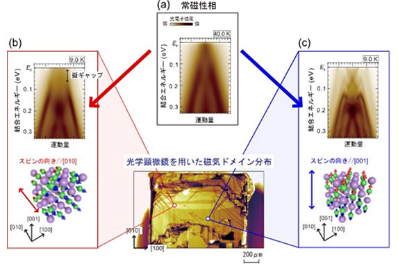 Japan Atomic Energy Agency Sector of Nuclear Science Research Advanced ...