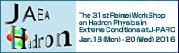 The 31st Reimei WorkShop on Hadron Physics in Extreme Conditions at J-PARC