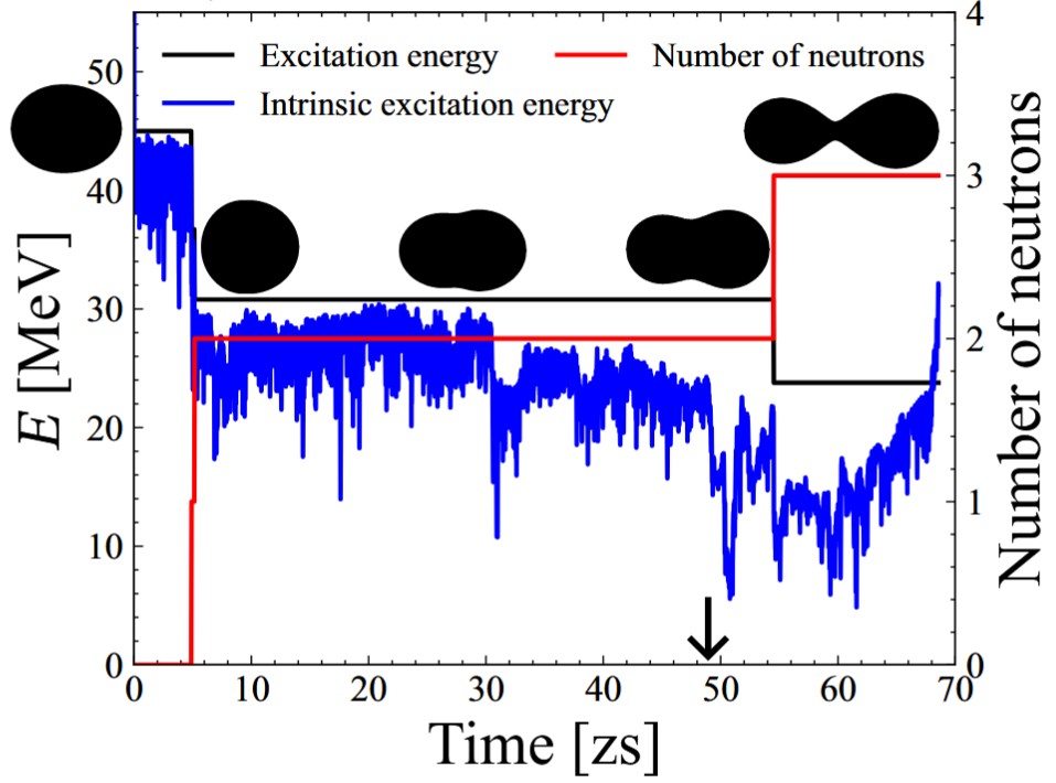 研究内容 | 国立研究開発法人日本原子力研究開発機構 先端基礎研究