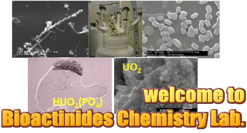 welcome to Bioactinides Chemistry Lab.